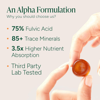 Alpha Gummies 120s
